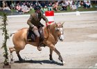 Pferd International 142